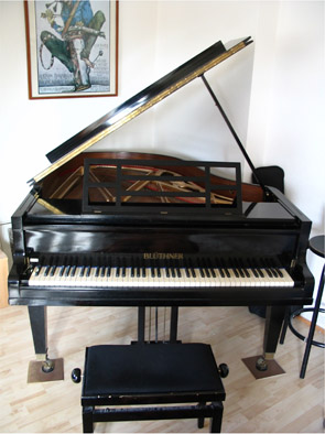 Flugel Bluthner Flugel 165 Cm Gebraucht
