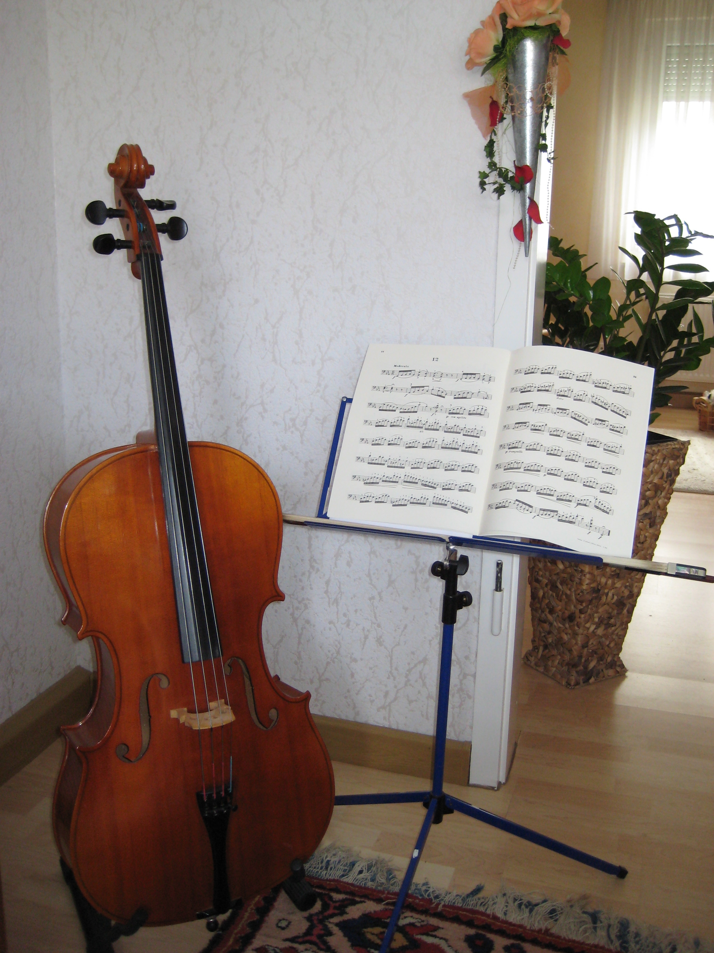Cello Kleinanzeigen Seite 10