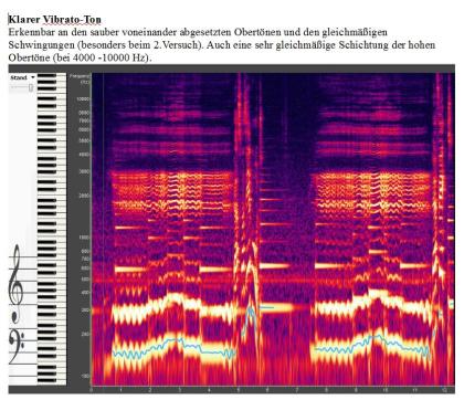 Gesangunterricht / Vocalcoaching für Laien, Profis, Solisten, Chorsäng