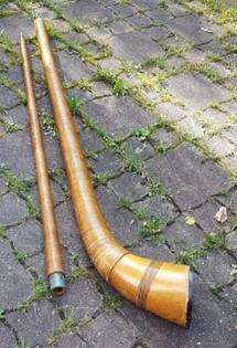 Alphorn-F-Stimmung 2tlg mit Transportsack