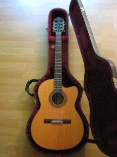 Martin Shenandoah Konzert Gitarre