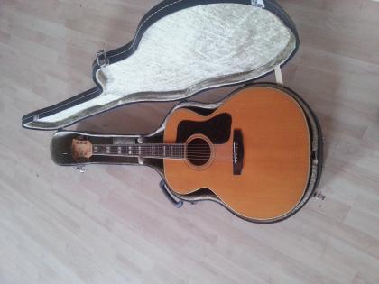 Wotan Akustikgitarre  mit Koffer