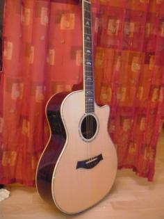 Top Taylor Akustikgitarre