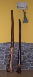 Didgeridoo-Sammlung