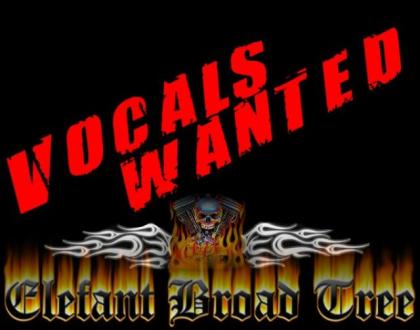 Rock-Vocals-Wanted Bochum