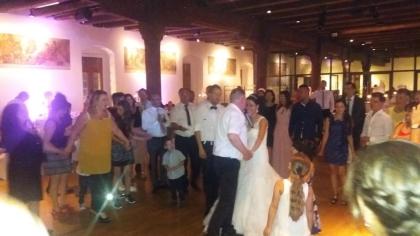 Italienisch Internationale Liveband Musik aller Art