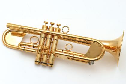 Taylor Chicago - Gebrauchtinstrument