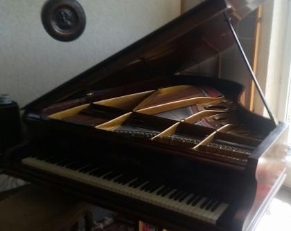 Schellack Bechstein Flügel von 1905!