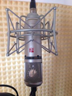 Se Electronics 2200a