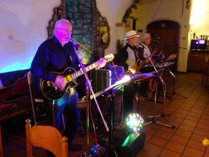 MUSIKER live erleben als One-Man-Band (Alleinunterhalter), im Duo oder als Trio