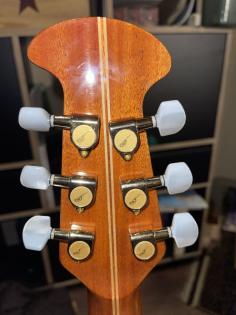 Ovation Custom Legend elektrische Akustik Gitarre
