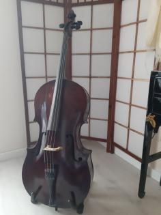 Seltenes Liebhaber*innen-Cello 18. Jh.