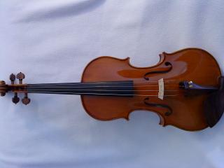 Moderne Viola zu verkaufen  !