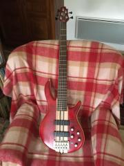 5 Saiter E-Bass