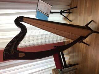 Verkaufe Ogden Harfe von Lyon & Healy