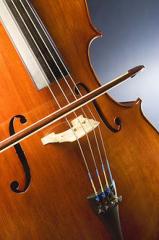 Suche Musiker in Bonn für selbstgeschriebene Songs, Improvisation und Crossover