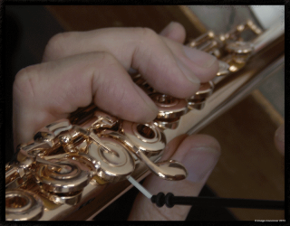 Musik Student suche eine Gold Flöte