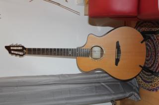 Breedlove Gitarre mit Tonabnehmer und Laney Al Acoustic Koffer