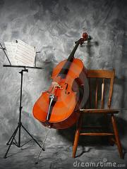Cellounterricht, Cello Musikunterricht, Cello Privatunterricht