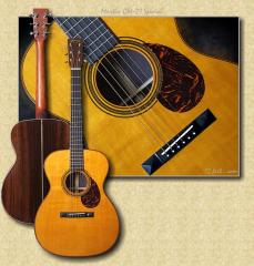 Martin OM-21 Special
