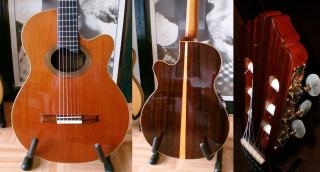 Meistergitarre von Voigt-Luthiers