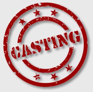 Sänger/in und Rapper gesucht