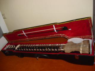 Indische Dilruba von Monoj Kumar Sardar