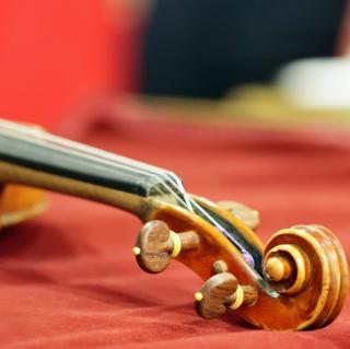 Violin-/Geigenunterricht