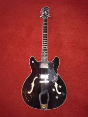 Verkaufe halbakustische Gitarre
