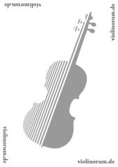 Das Musikgymnasium: Experten-Woche auf violinorum.de