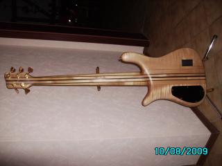 E-Baß Warwick