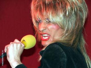 Tina turner travestie