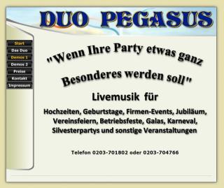 Von Party bis Dinner- Musik mit Pegasusduo