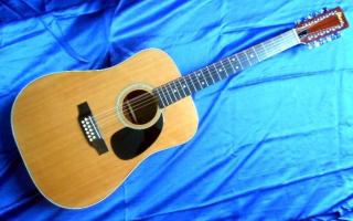 12-SAITIGE GITARRE   IBANEZ
